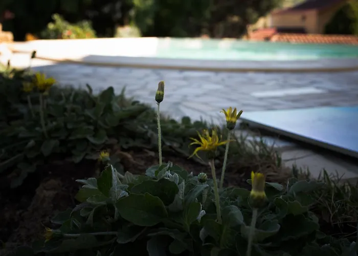 Prestige לינה וארוחת בוקר